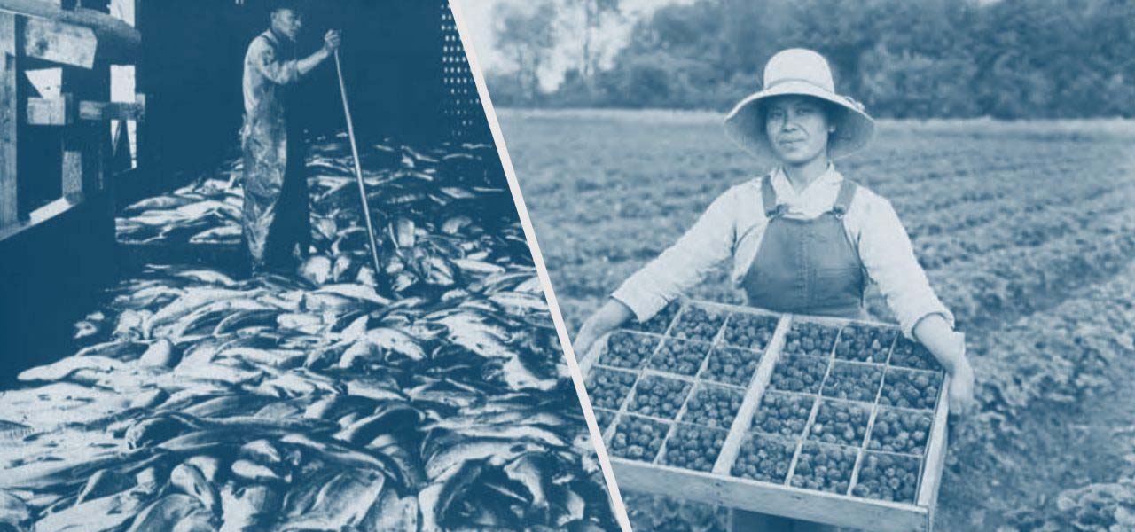 Split photo of Filipino farmer workers and canners.