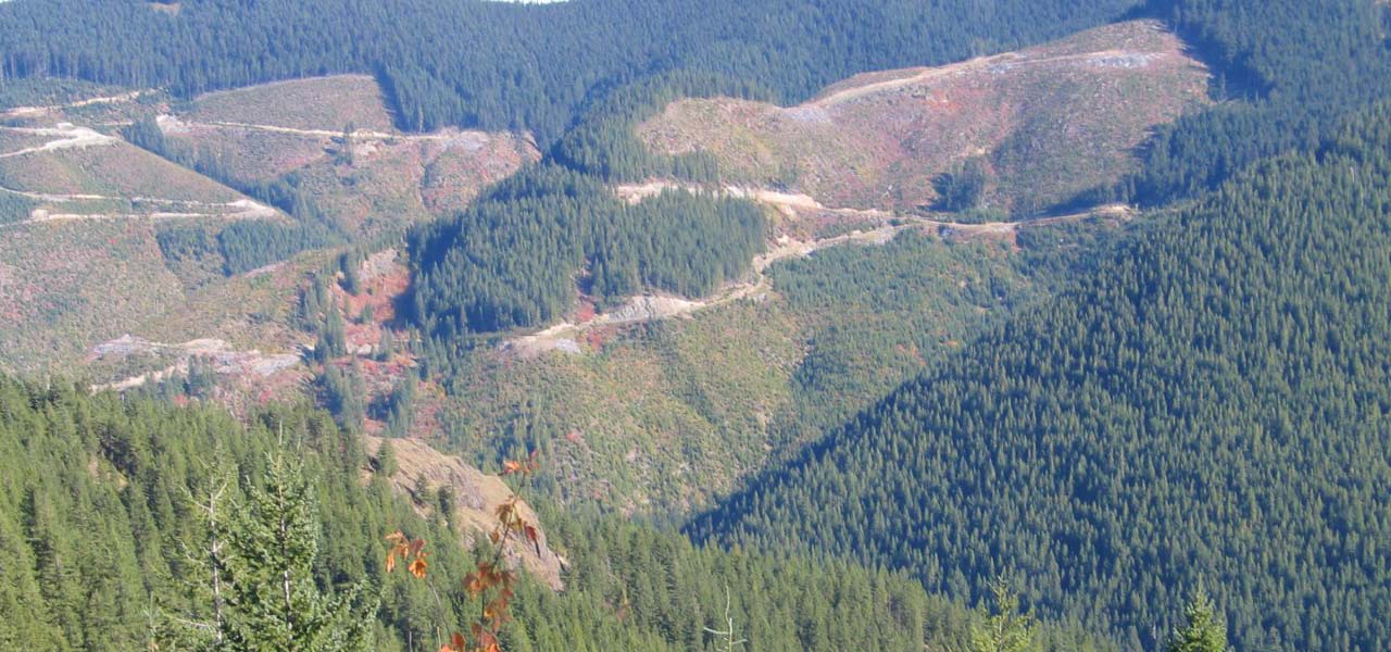 Hilly landscape marked with railroad lines.