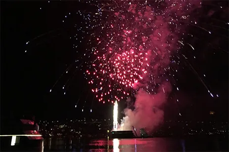 fireworks in night sky