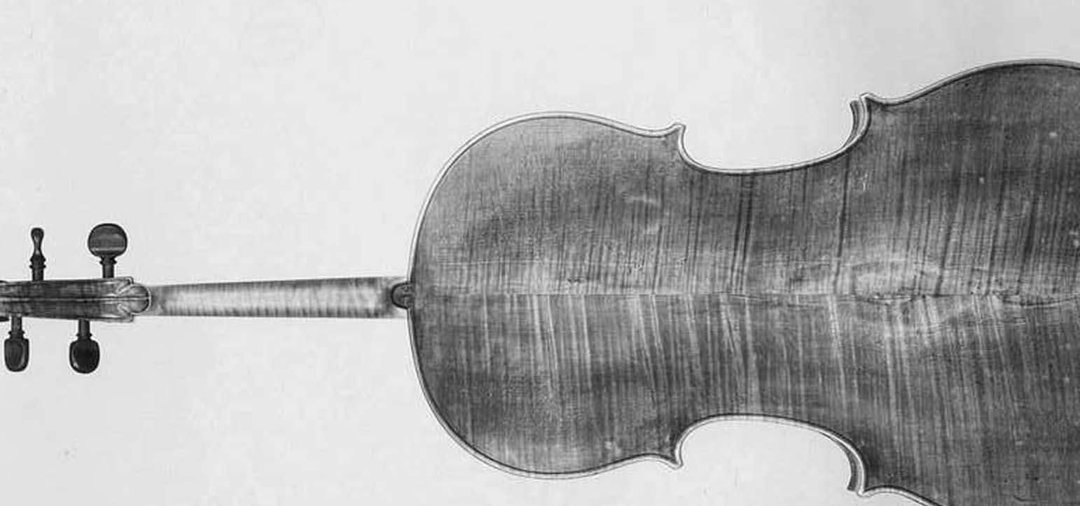 Black and white pencil drawing of a cello.