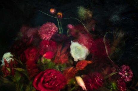 Blurred photograph of an arrangement of flowers.