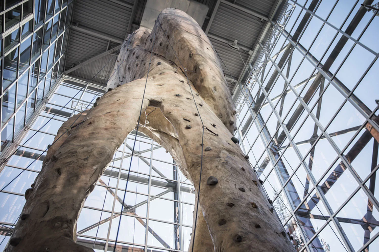 rock climbing wall