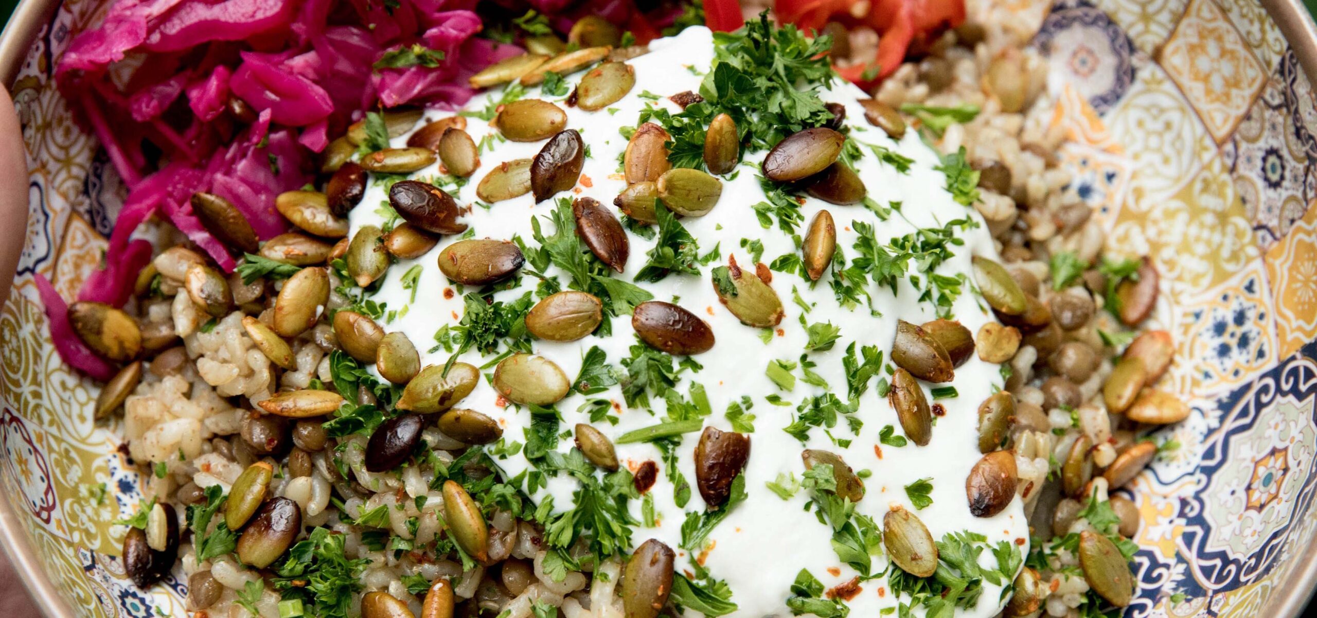 Bowl of Mujadara, a middle eastern lentil dish.