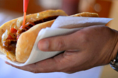 person holding hot dog