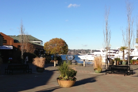 Chandler's Cove