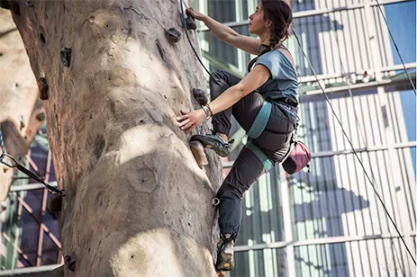 woman climbing rock wall