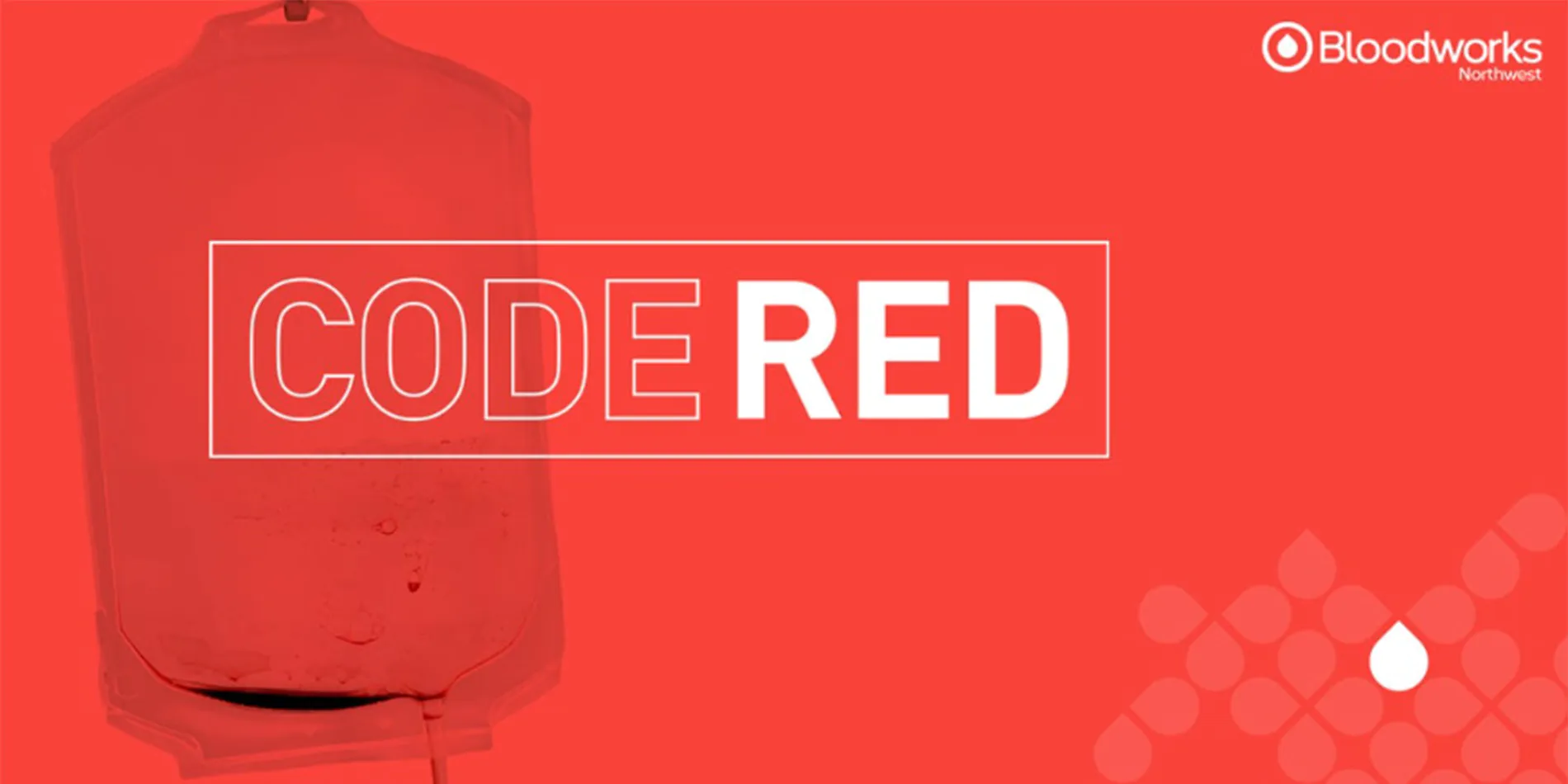 blood bag on red background