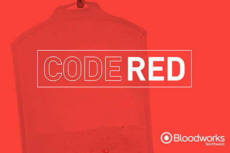 blood bag