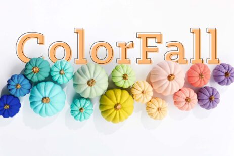 olor assortment of pumpkins in fall colors.