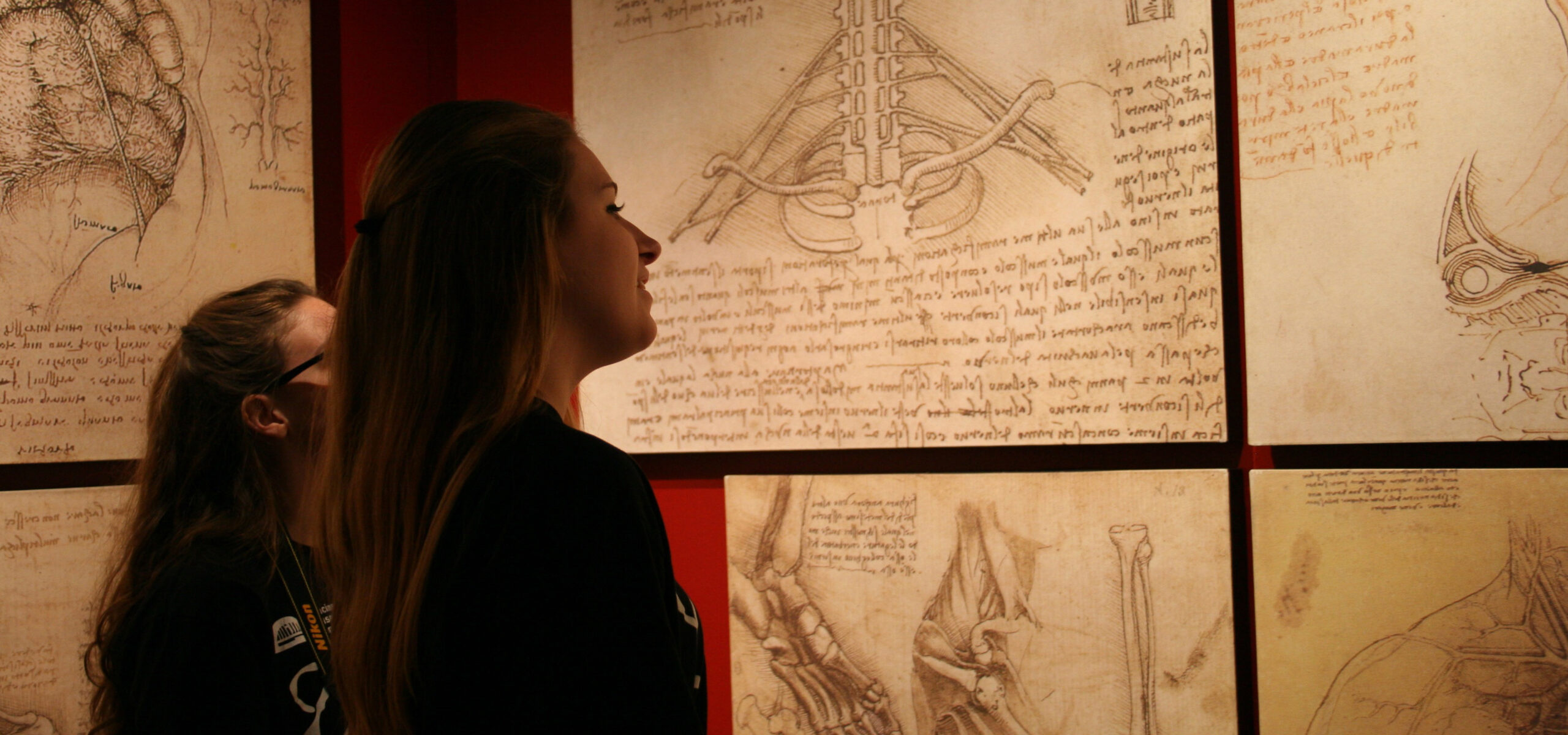 Patrons viewing exhibit of Da Vinci's drawings.