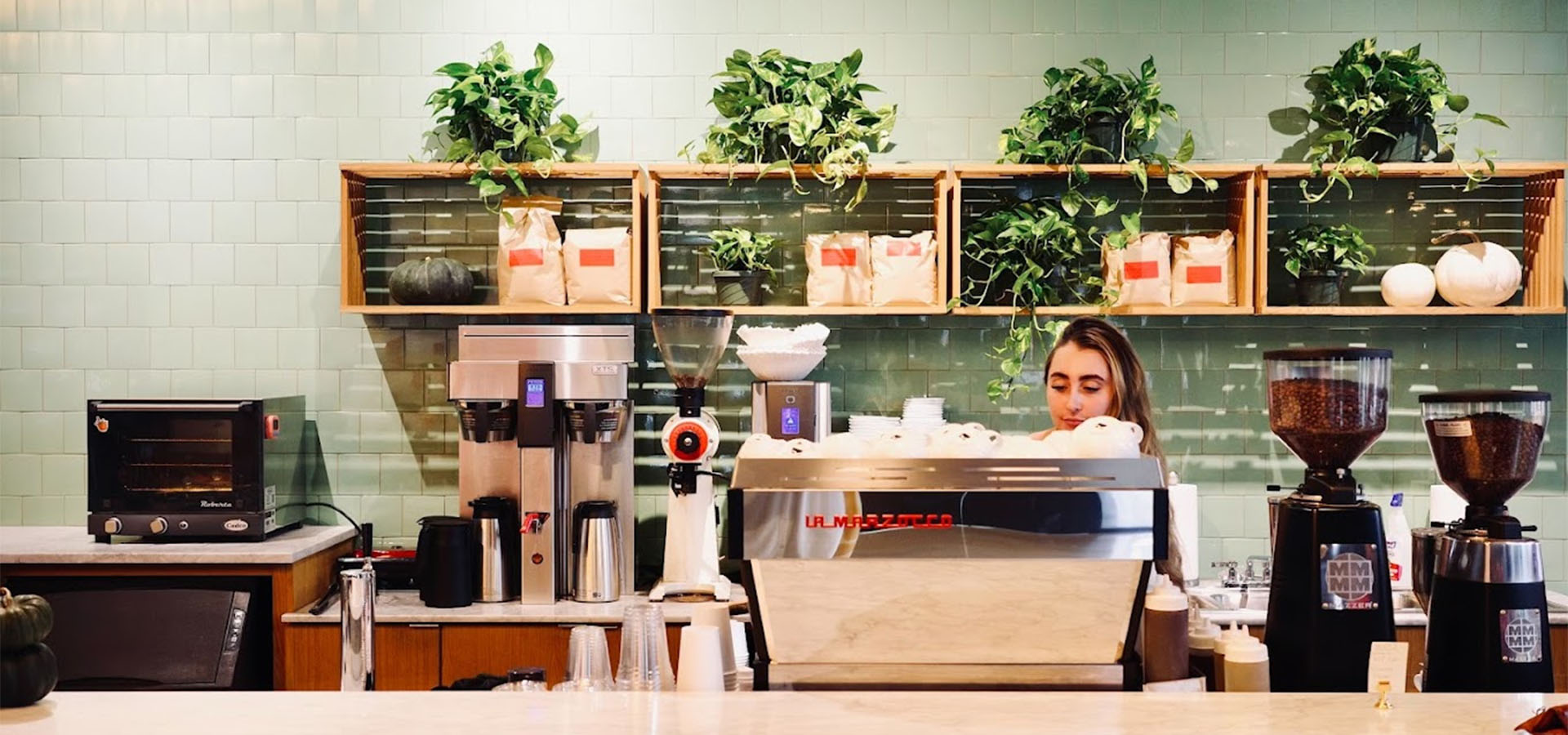 coffee shop with green walls and plants