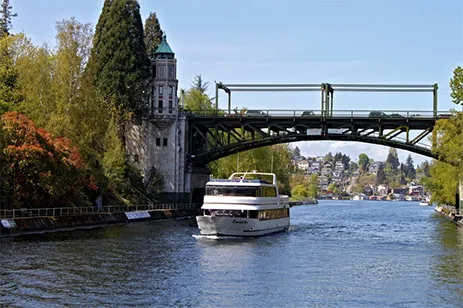 cruise boat under bridge