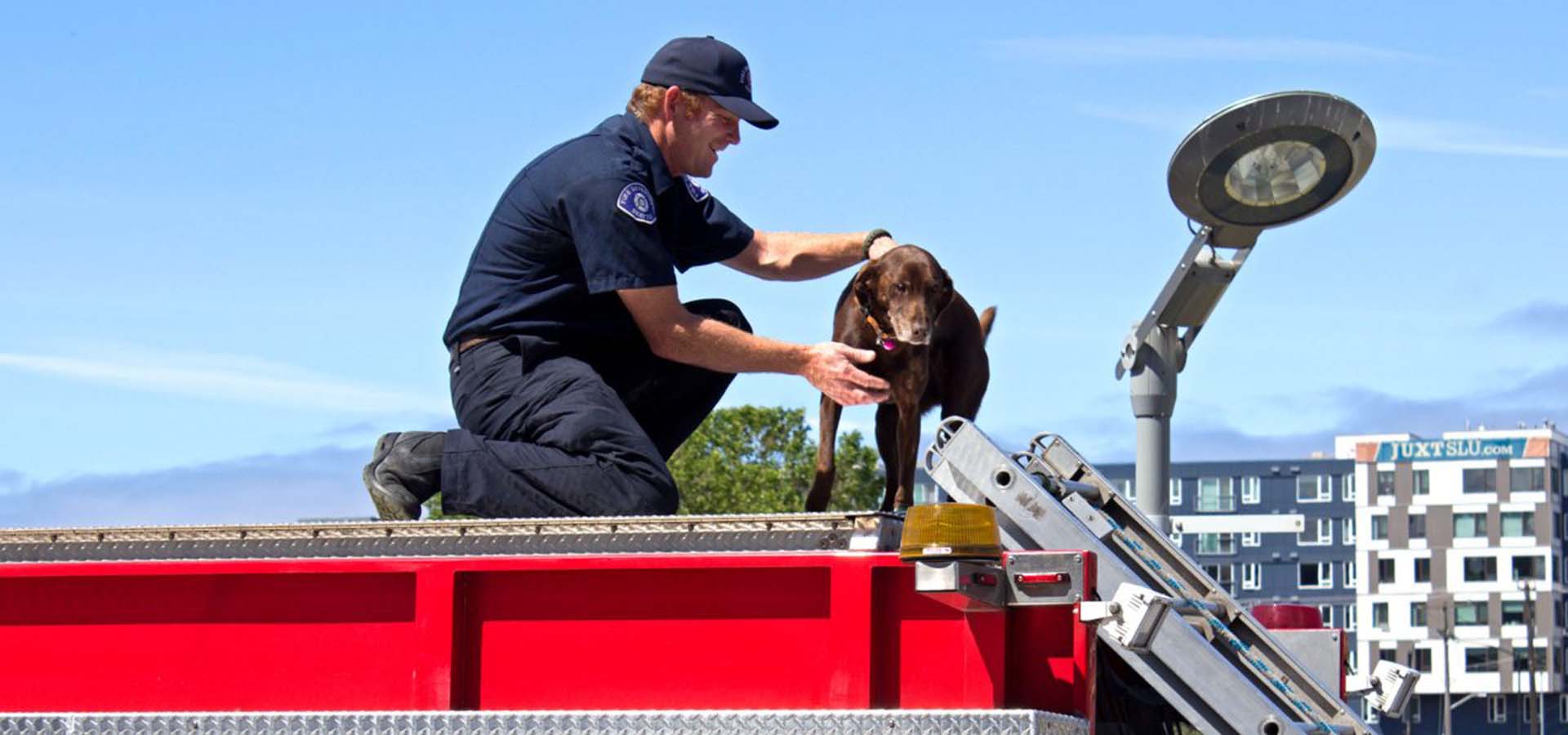 Fireman and dog on a firetruck roof