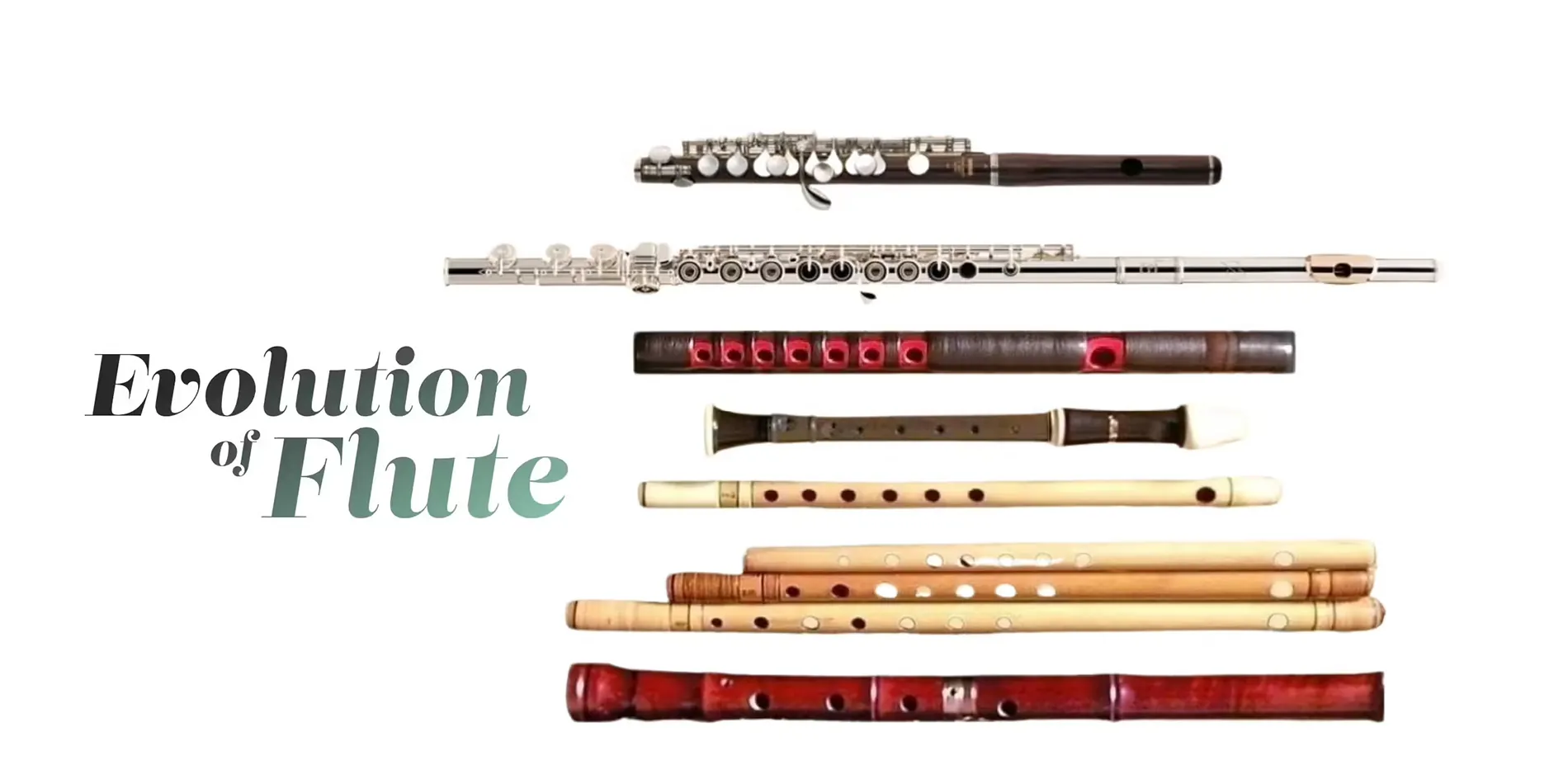 flutes on white background