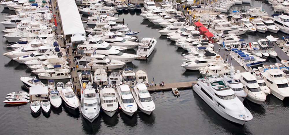 Rows of boats and yachts.