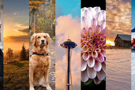 photo collage