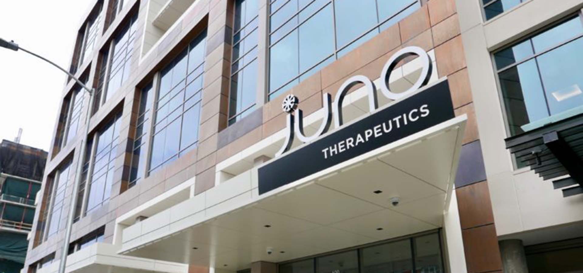 juno therapeutics juno therapeutics