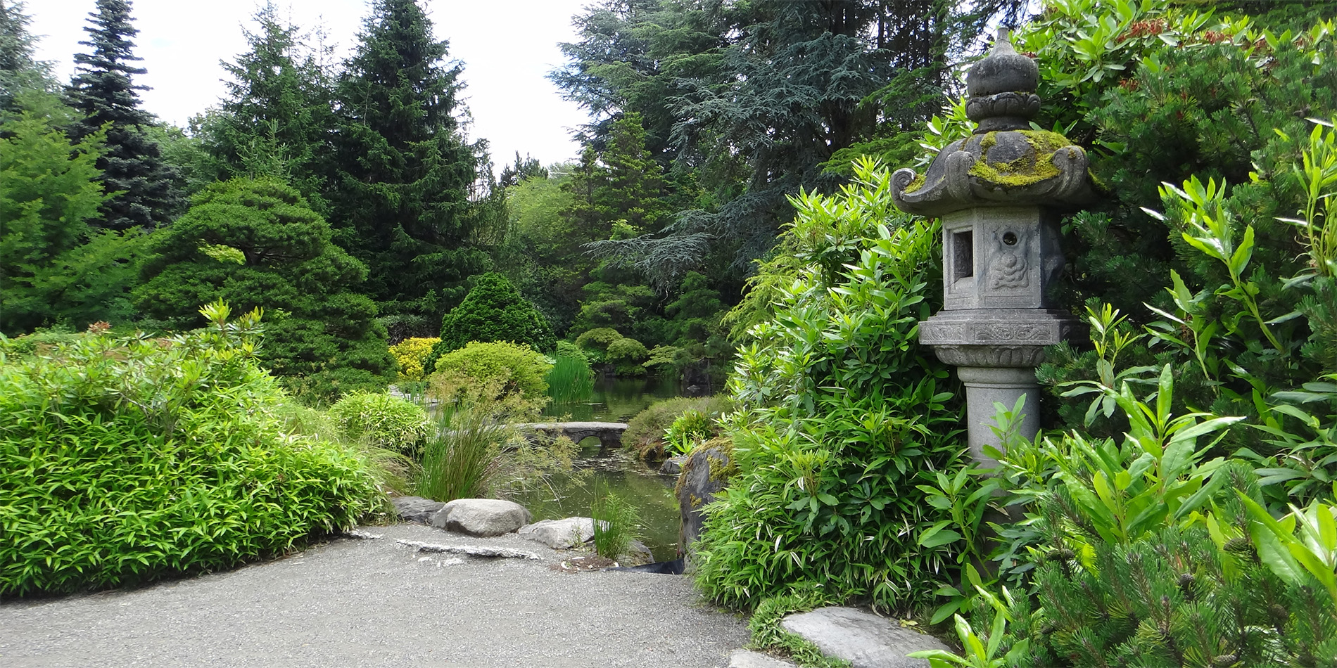 garden with pond
