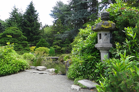 garden with pond