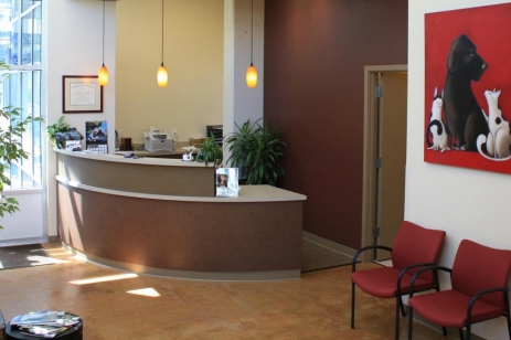 Lake Union Veterinary Clinic