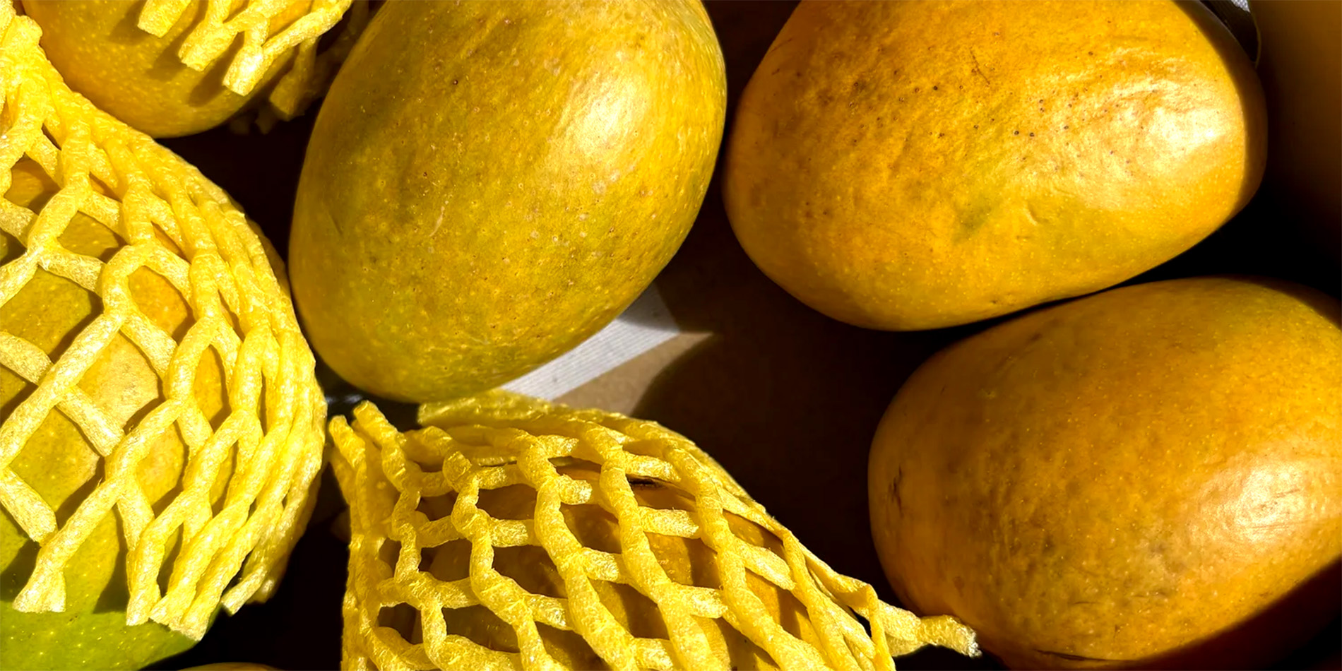 mangoes