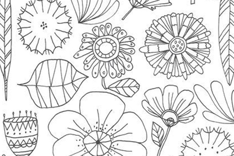 illustrated flowers