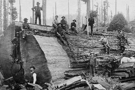 old photo of loggers