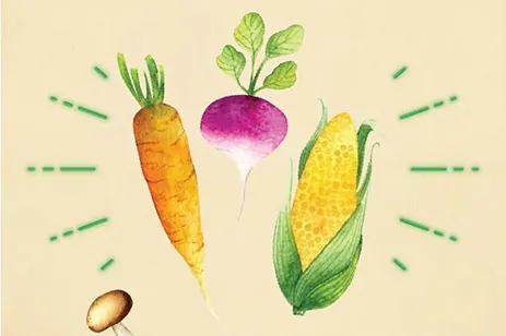 illustration of vegetables