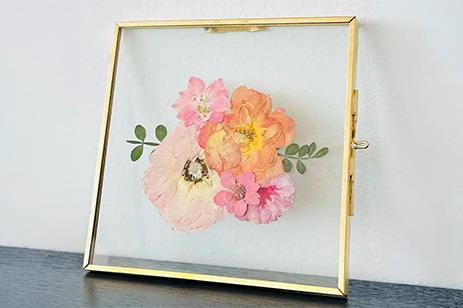 pressed flowers