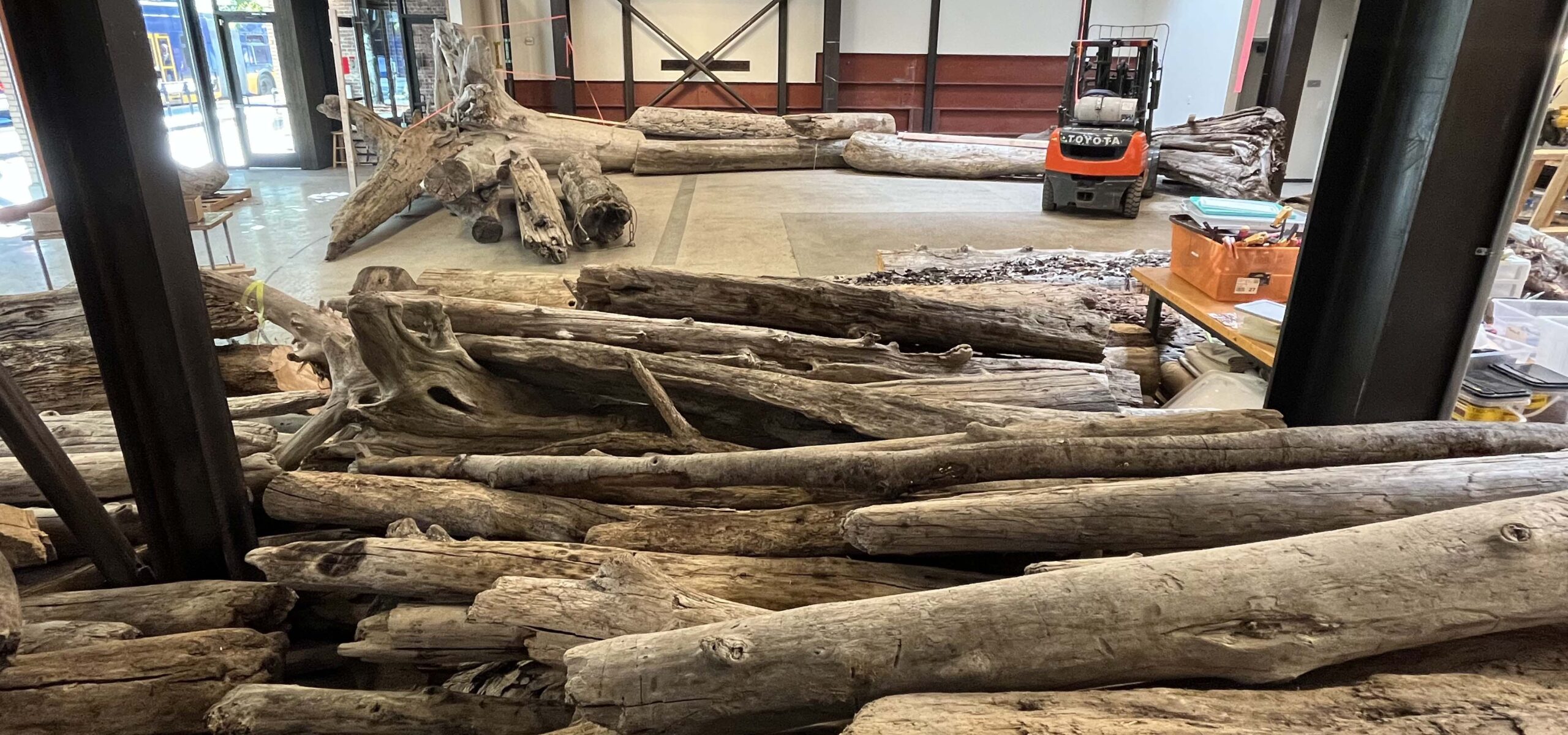 Driftwood logs being used for a modern art exhibit.