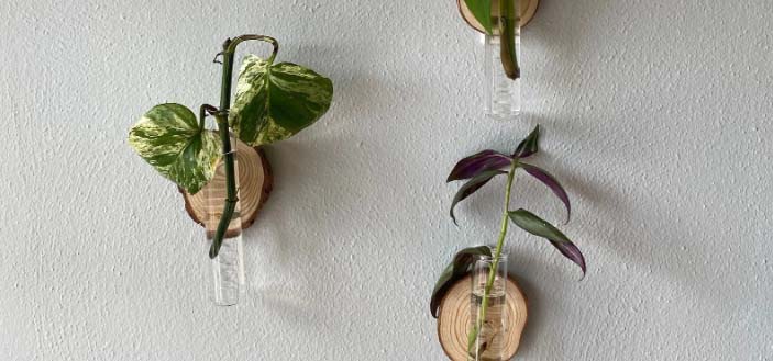 Wall display of magnetic plant propagation tubes.