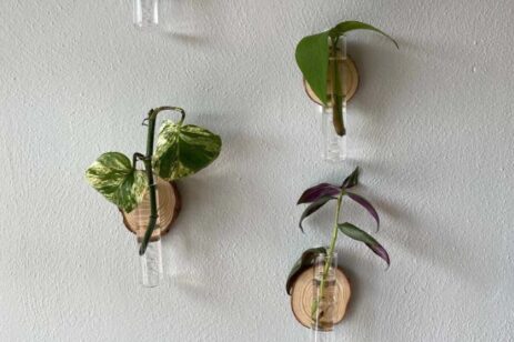 Wall display of magnetic plant propagation tubes.