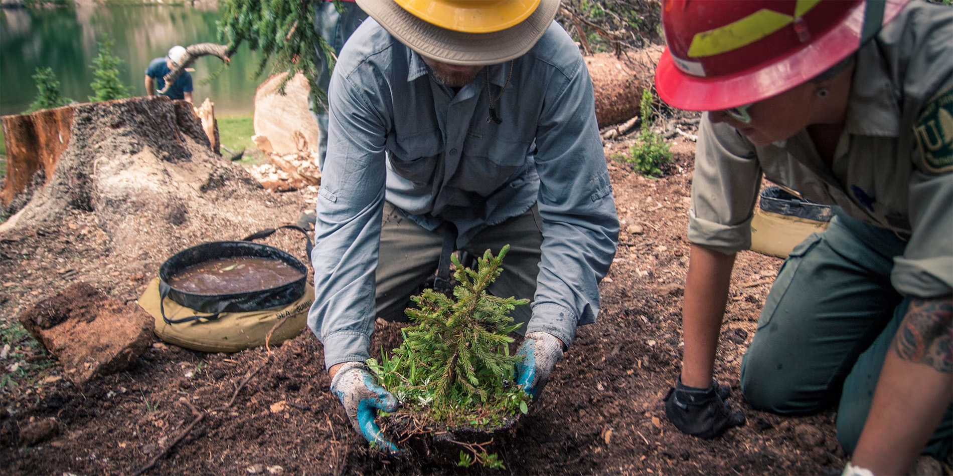 PERSON PLANTING