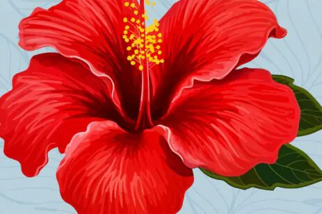 red flower