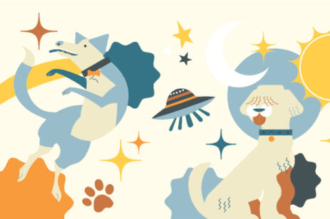Rocket Dog Care