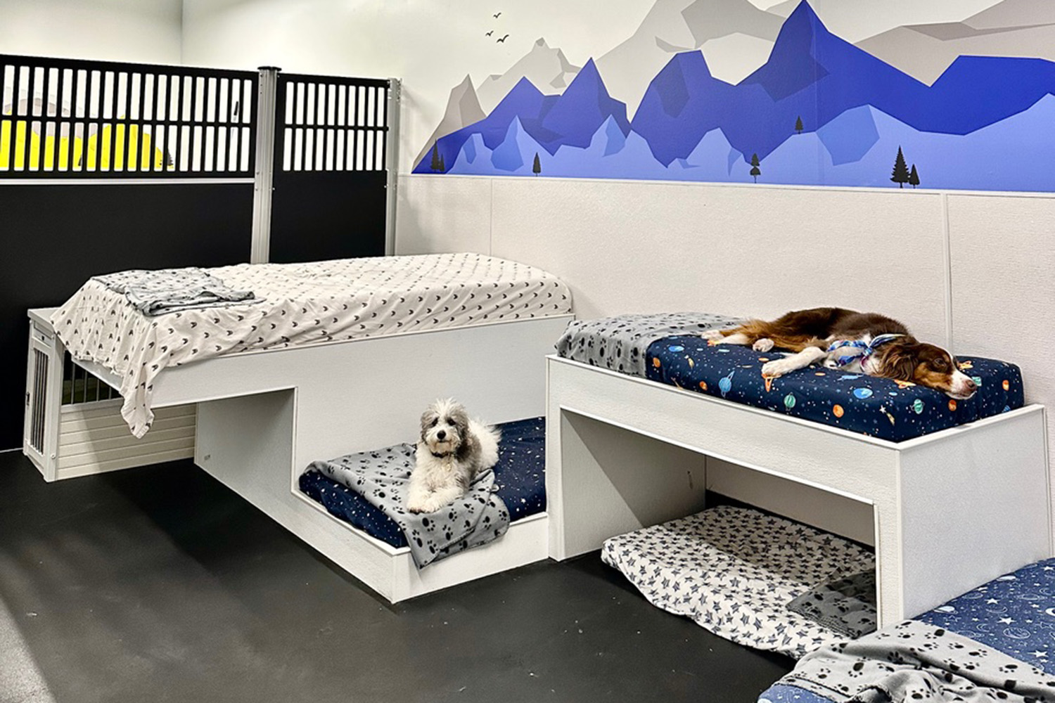 dogs napping
