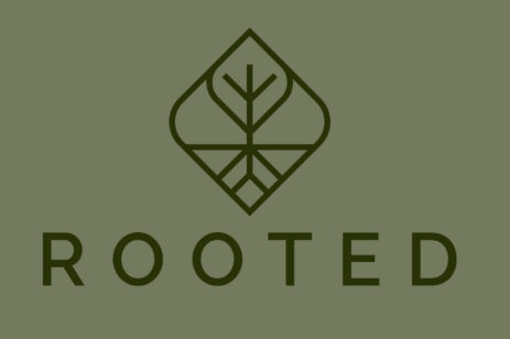 Rooted Chiropractic & Rehab