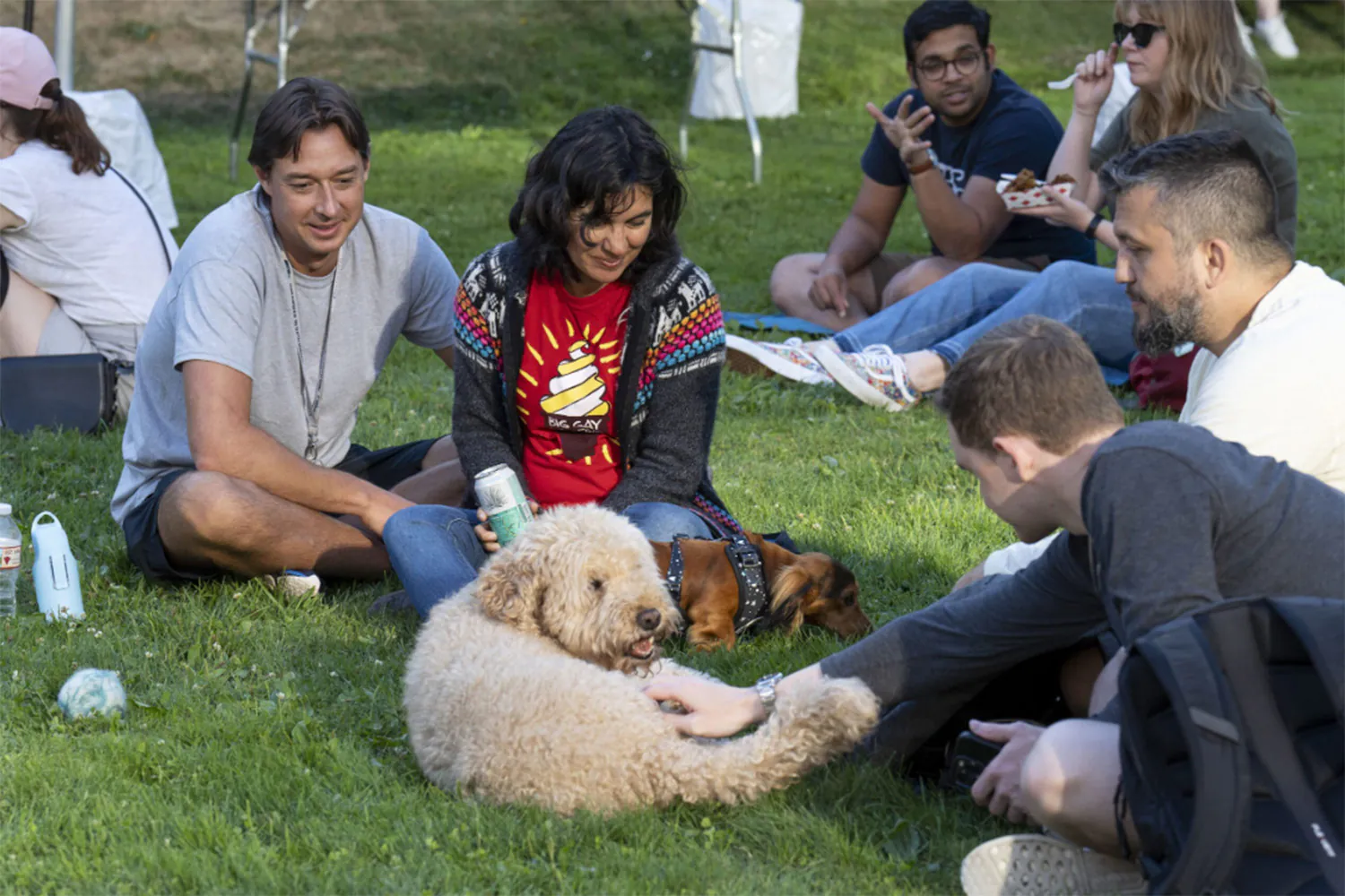 people and dog on lawn