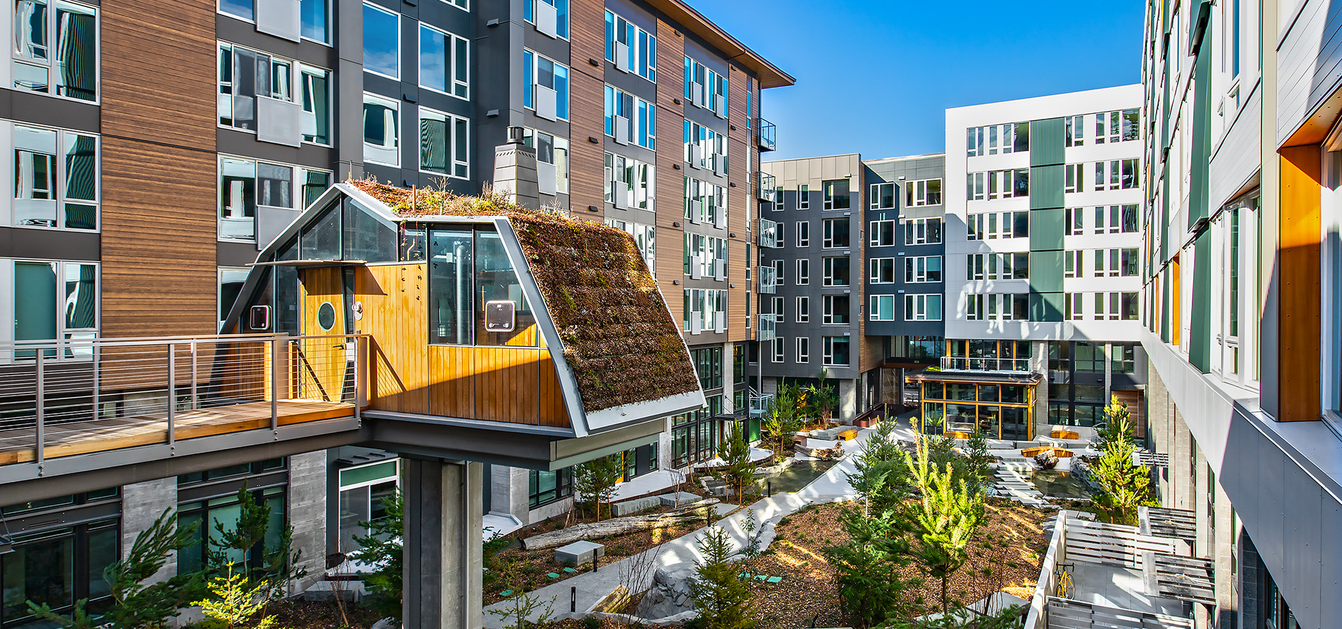 sitka courtyard with treehouse