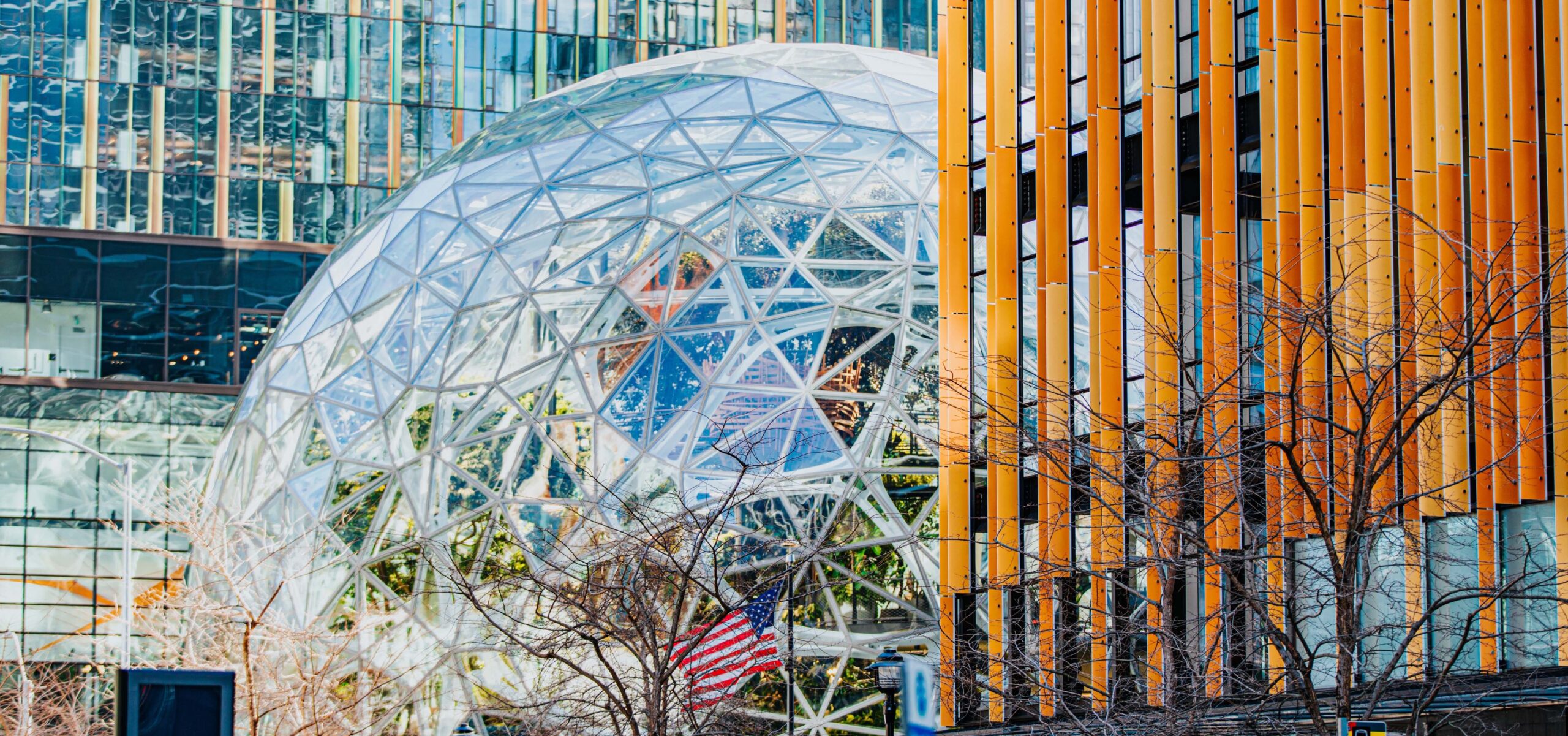 Photo of the Amazon campus spheres.