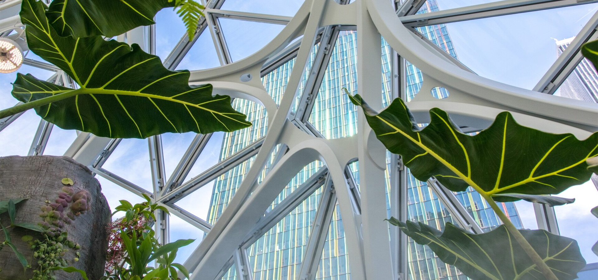 inside of spheres looking out