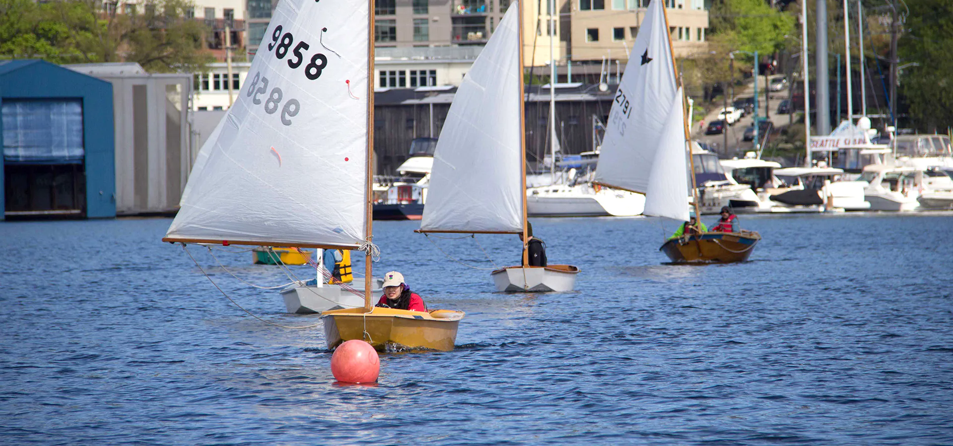 sailboats on lake union