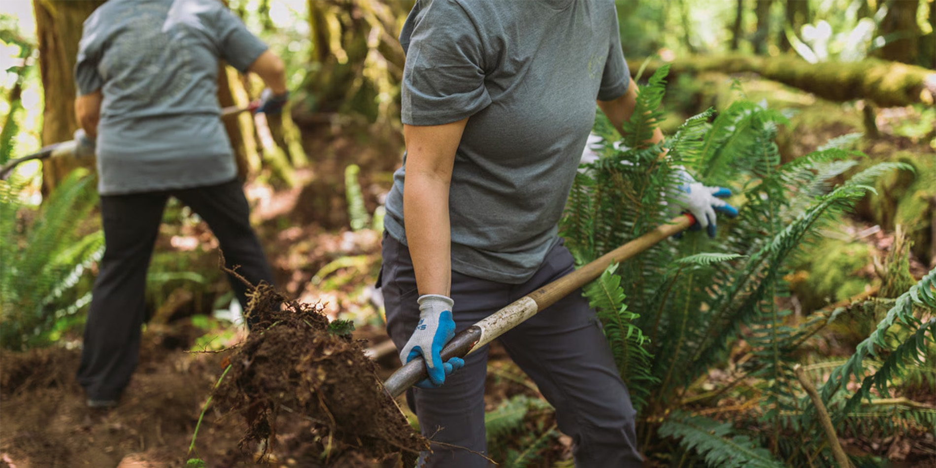 two people cleaning up trail in forest