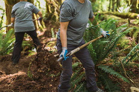 two people cleaning up trail in forest