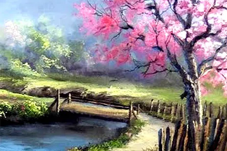 path with cherry blossom tree