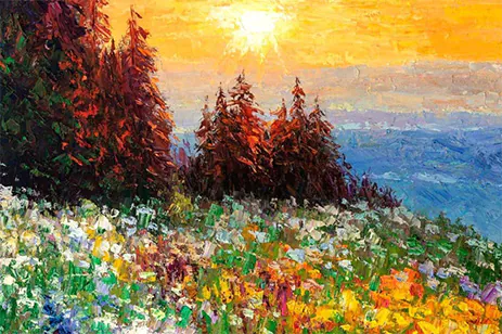 sunset over wildflower field