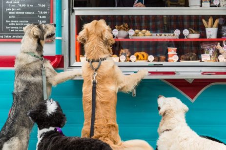 The Seattle Barkery