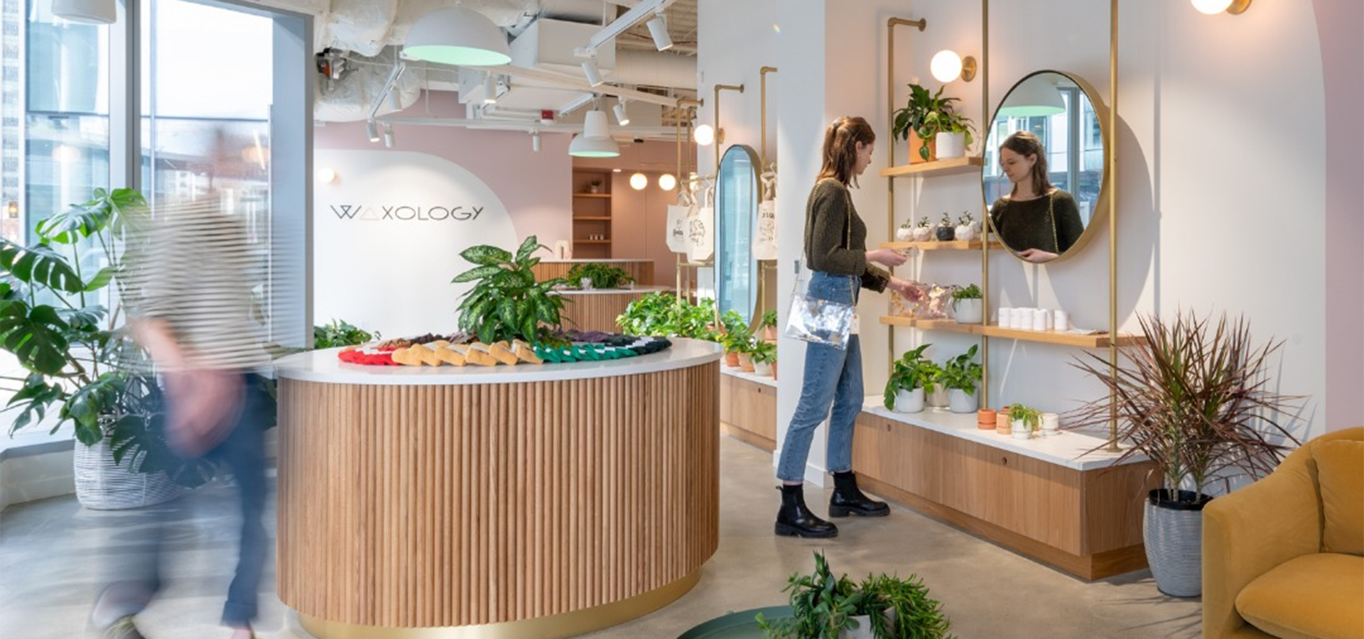 waxology store interior