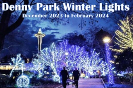 People walking through a park with holiday light on the trees.