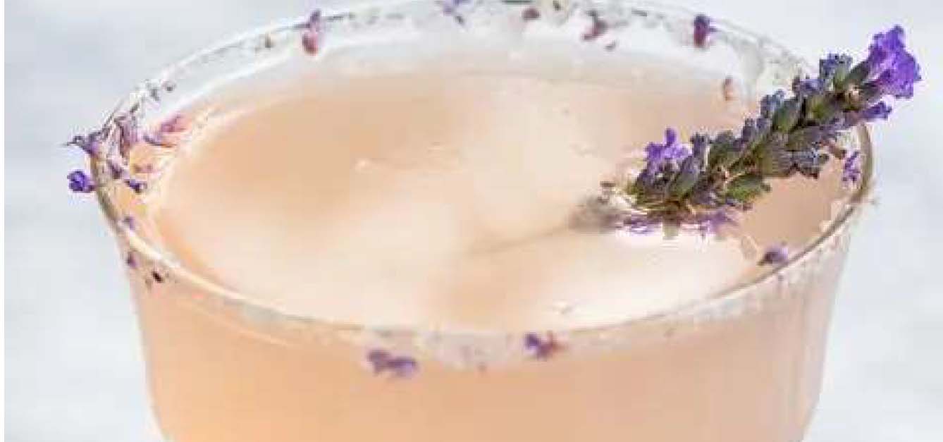 A pink lavender cocktail garnished with a lavender sprig.